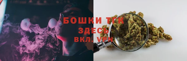 винт Заречный