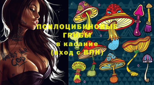 каннабис Белокуриха