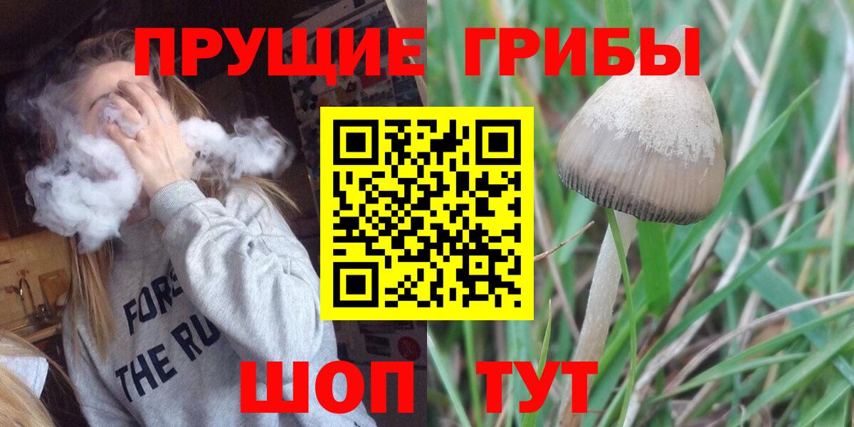Псилоцибиновые грибы прущие грибы Губкинский